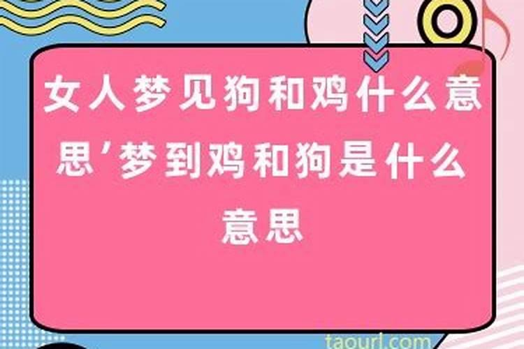 梦见女孩和狗是什么意思