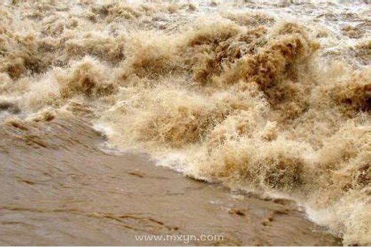 梦见大雨洪水什么预兆