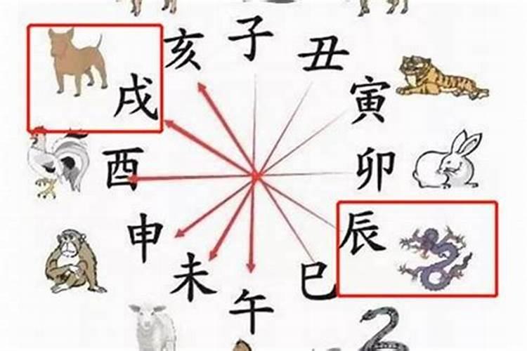 八字父母关系不合