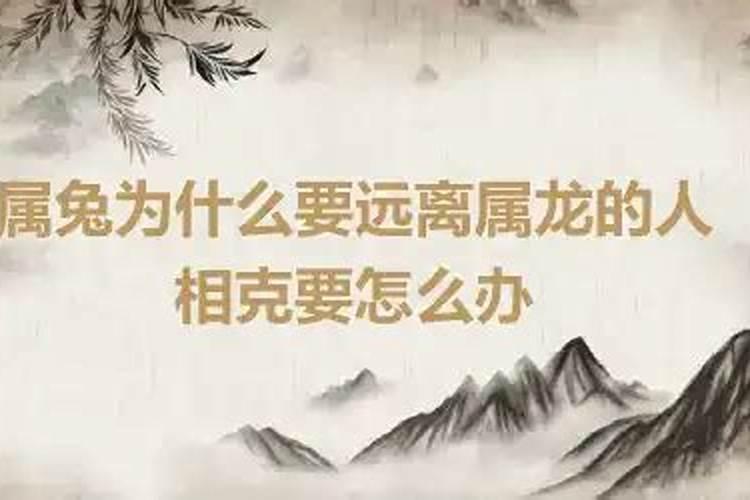 为什么属兔要远离属龙的