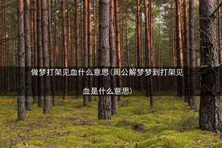 梦见别人打架什么意思了好多血