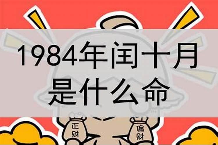 1984年闰10月初2今年的运势