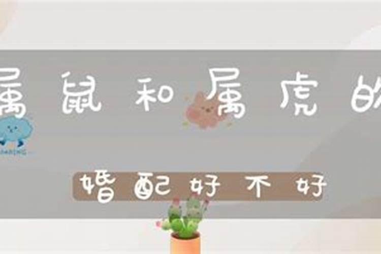 2021年属鼠和属虎的结婚