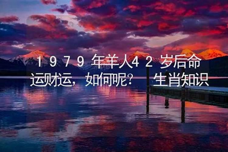 1974年属虎2023年的感情运程