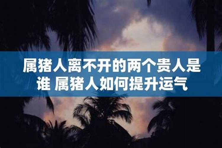 属猪人离不开的两个贵人是谁说的