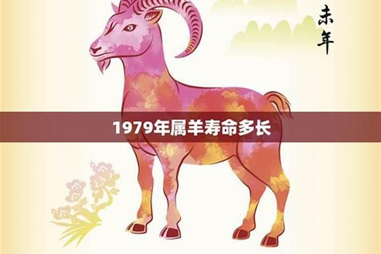 1979年的属羊女人寿命如何