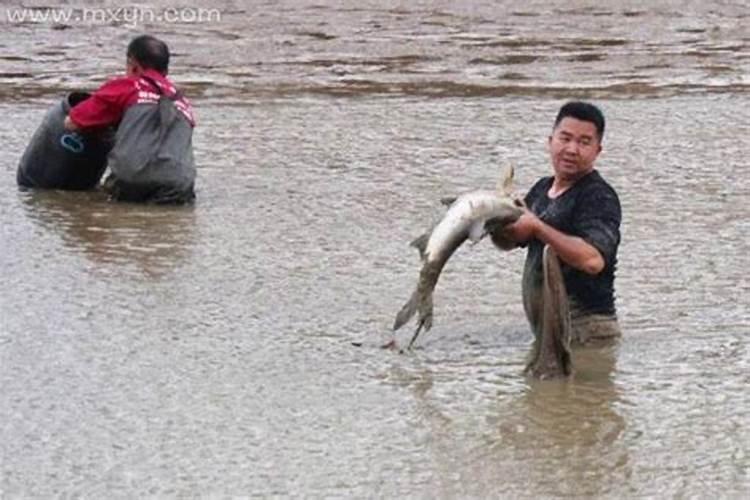 梦见河流干枯自己抓到了大鱼