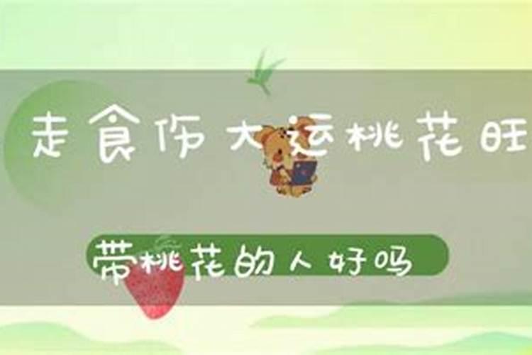 八字伤官坐桃花