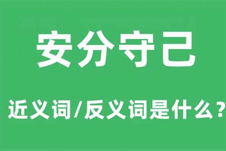 安分守己的生肖是什么