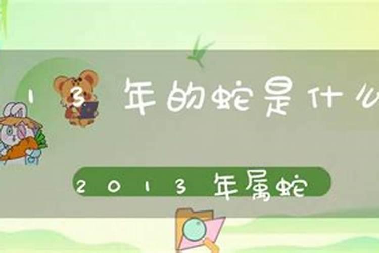 2013年属蛇是什么命男