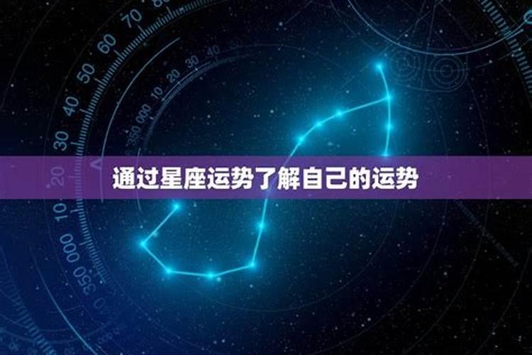 11月23号星座