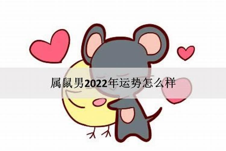 属鼠的2022年运势怎么样