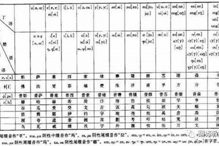 特字五行属什么属性