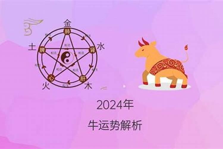 2024属牛人的全年运势如何