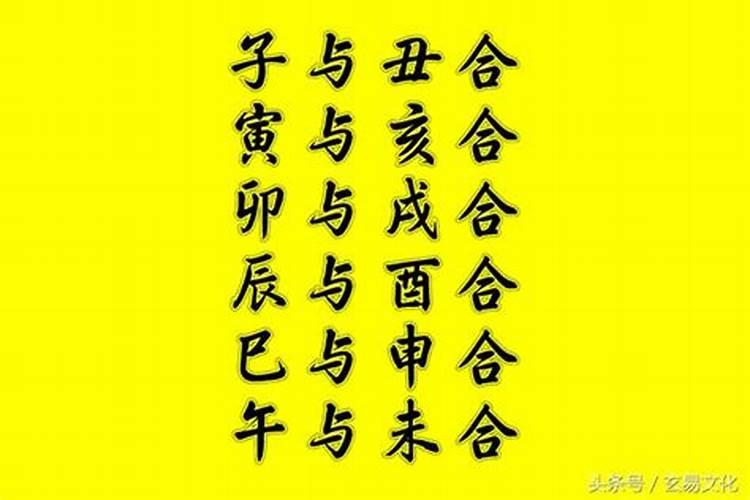 八字中什么是不合