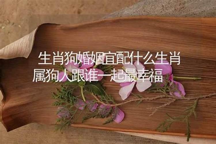 生肖狗婚姻宜配什么生肖好