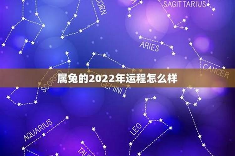 属兔2022年的财运