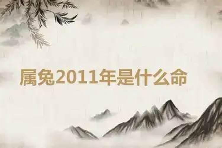 属兔2011年的是什么命