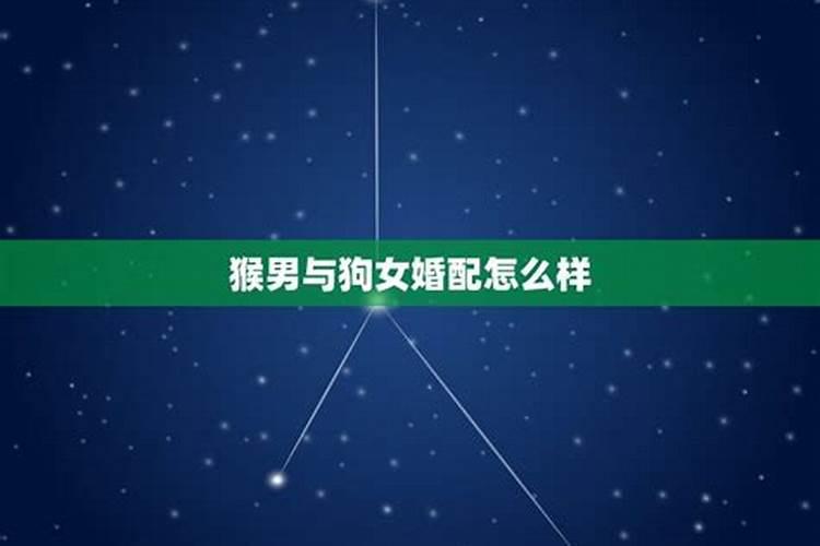 农历1968年10月11月运势如何