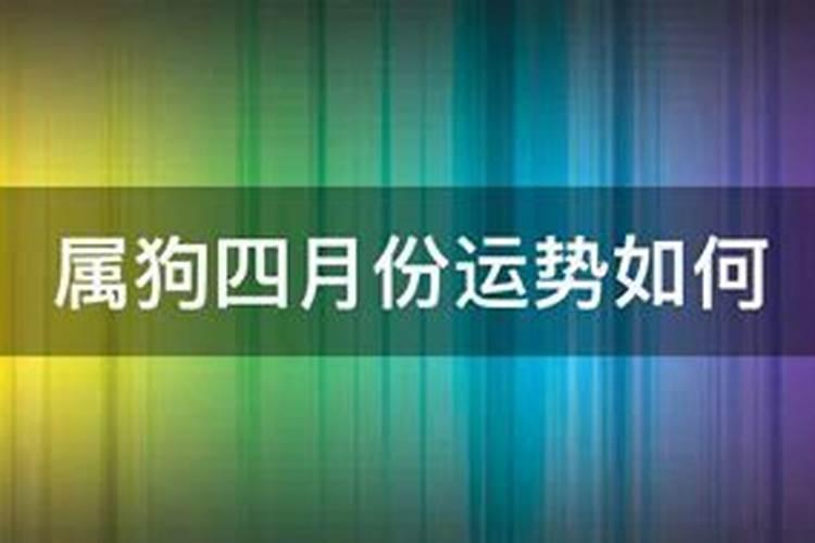 属狗人4月份运势如何