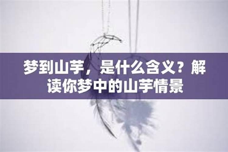 梦见吃生山芋什么意思