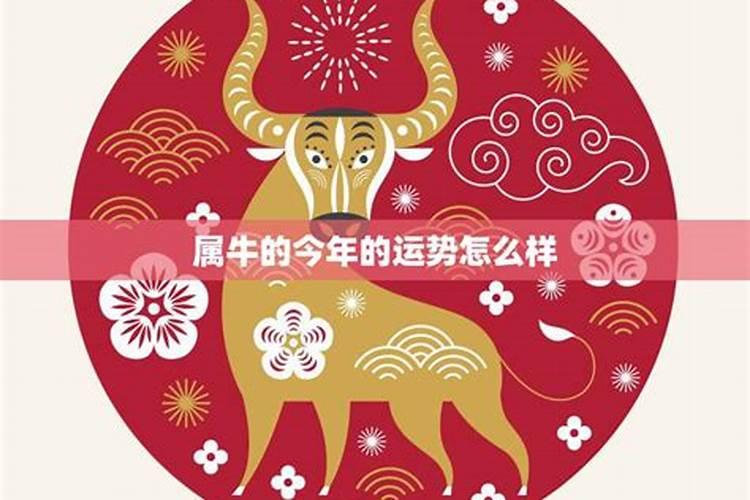 属牛的今年4月份运程