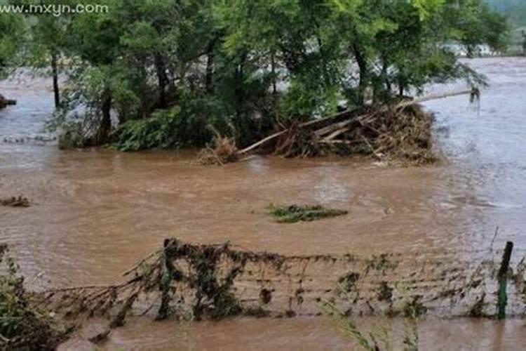 梦到洪水自己逃跑成功