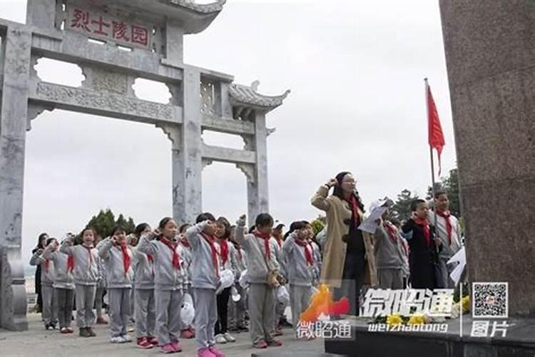 小学清明节祭扫