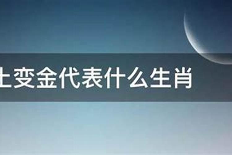 本命年容易发财的属相