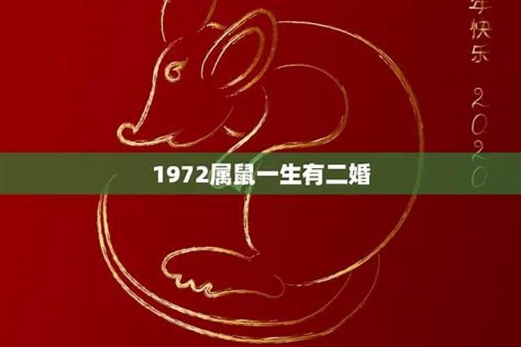 1984属鼠一生有二婚