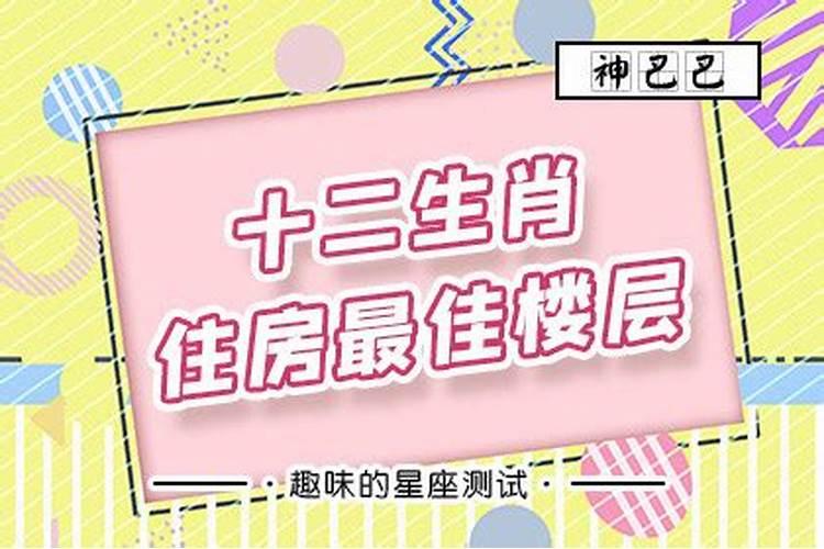 生肖房子楼层数字五行排列