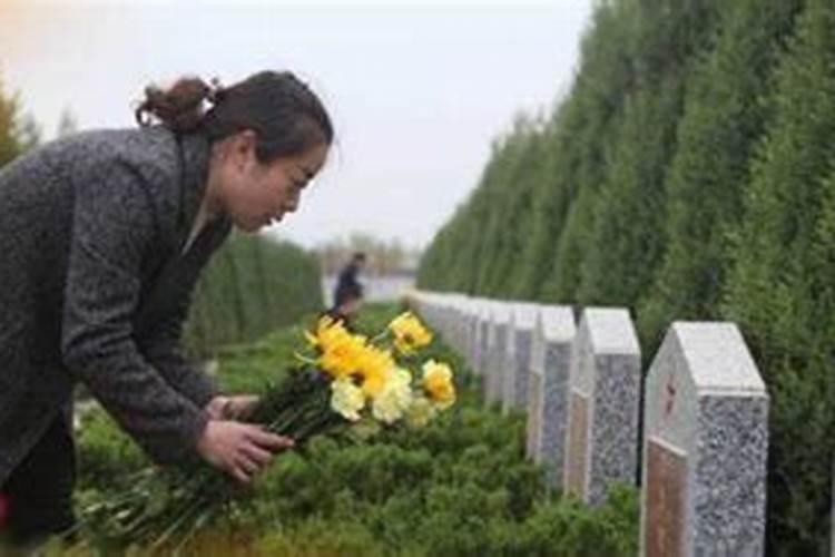 清明节祭扫带些什么