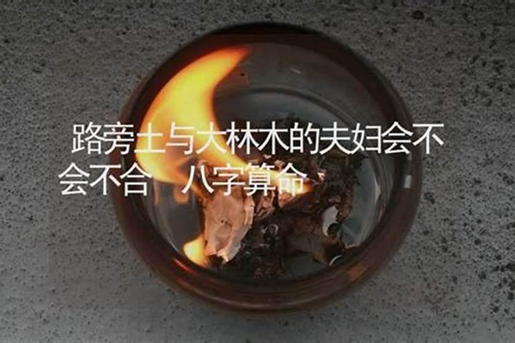 生肖犯太岁分别是什么年