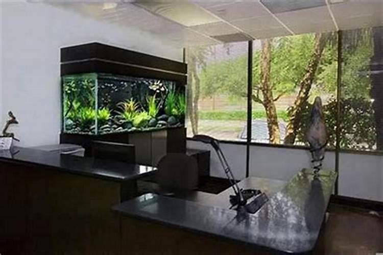 办公室鱼缸摆放风水讲究图,鱼缸放办公室哪里最旺