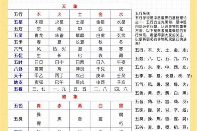 科技公司五行属什么