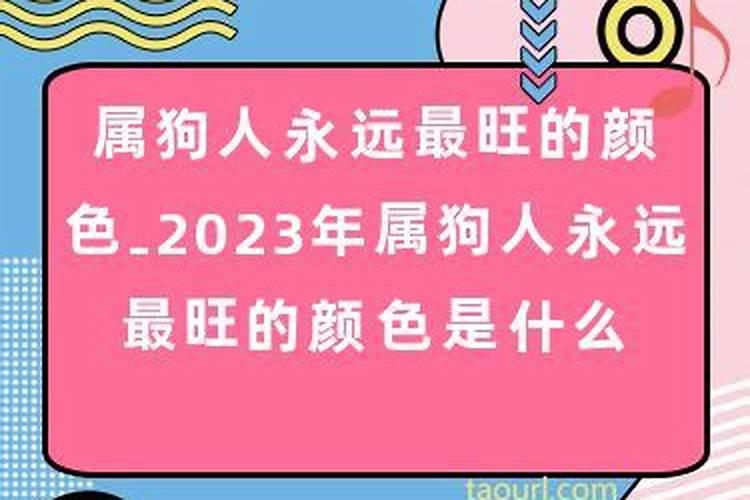 2023年属狗人永远最旺的颜色