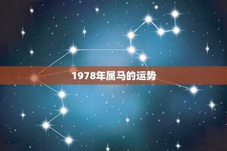 1978年出生属马的运程