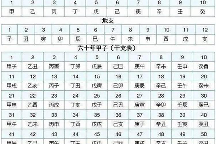 28岁属啥的是属什么的