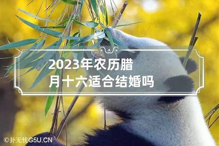 2023年农历腊月十六