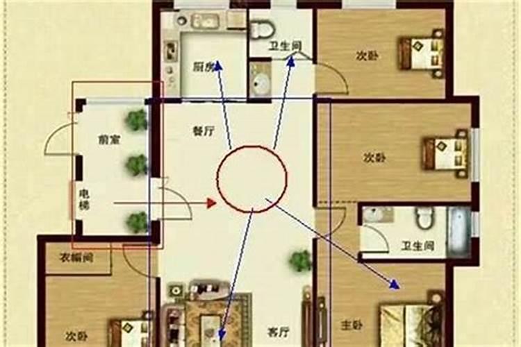 10楼适合哪种属相人住