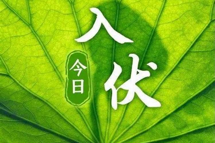 夏至三庚入伏是什么意思