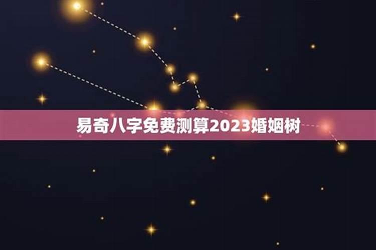 十二生肖今年属猪的人的运势2023年