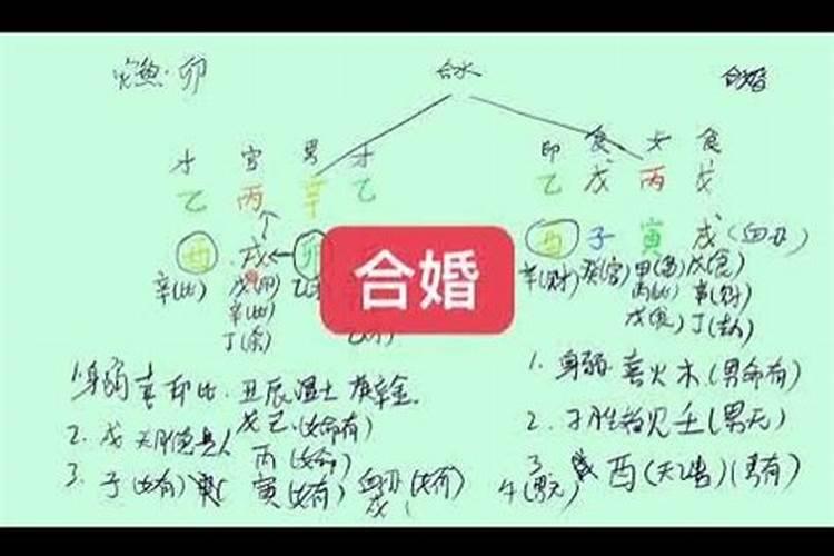 八字合婚命局怎么看