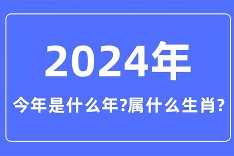 今年什么年属什么2024年