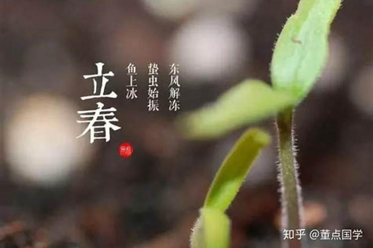 立春和春节哪个时间好