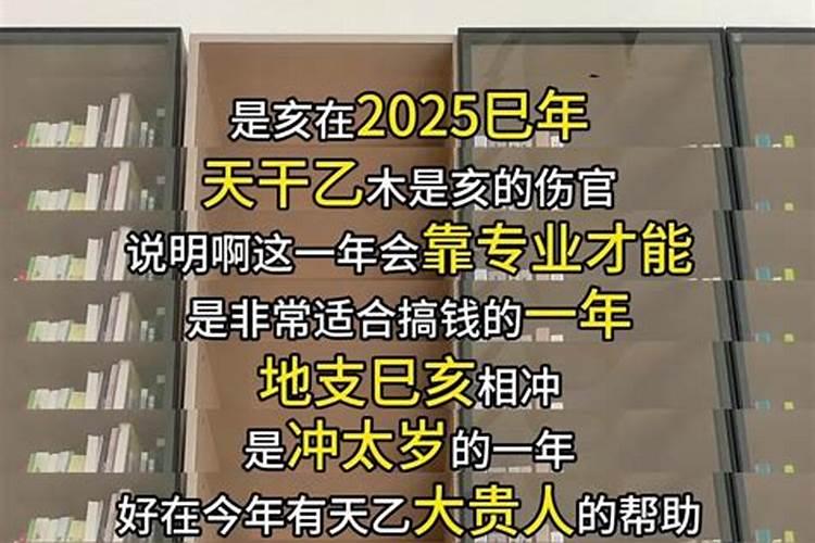 属猪的今年8月运程怎样