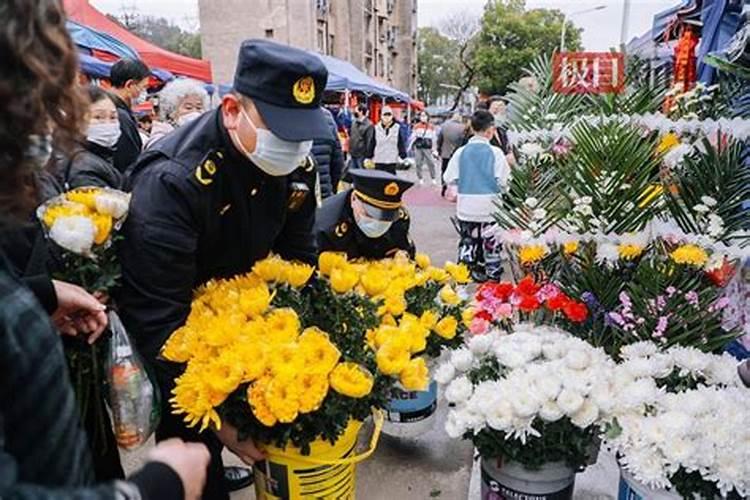 好人清明祭扫