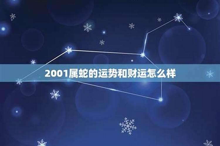 2001年属蛇的一生财运怎么样