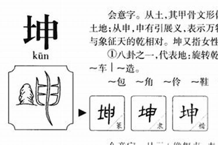 坤坤五行属什么