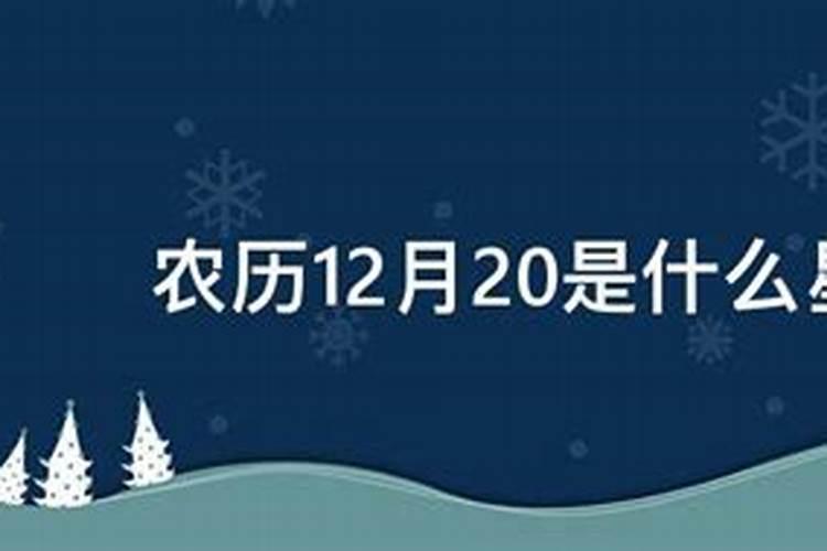 阳历12月20是什么星座？